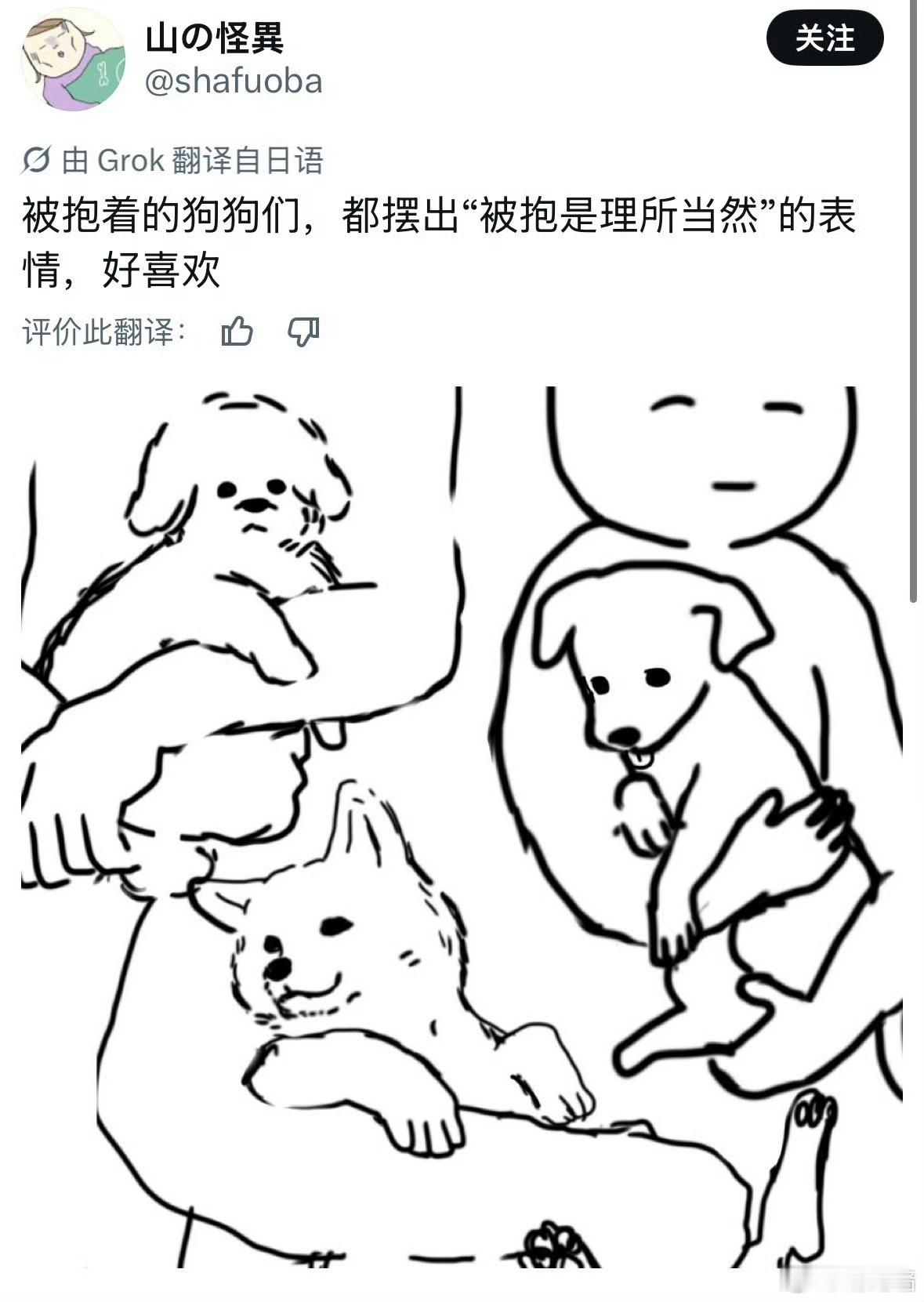 跟个大孩子一样哈哈哈狗狗被抱都会摆出理所当然的表情爆笑段子研究所