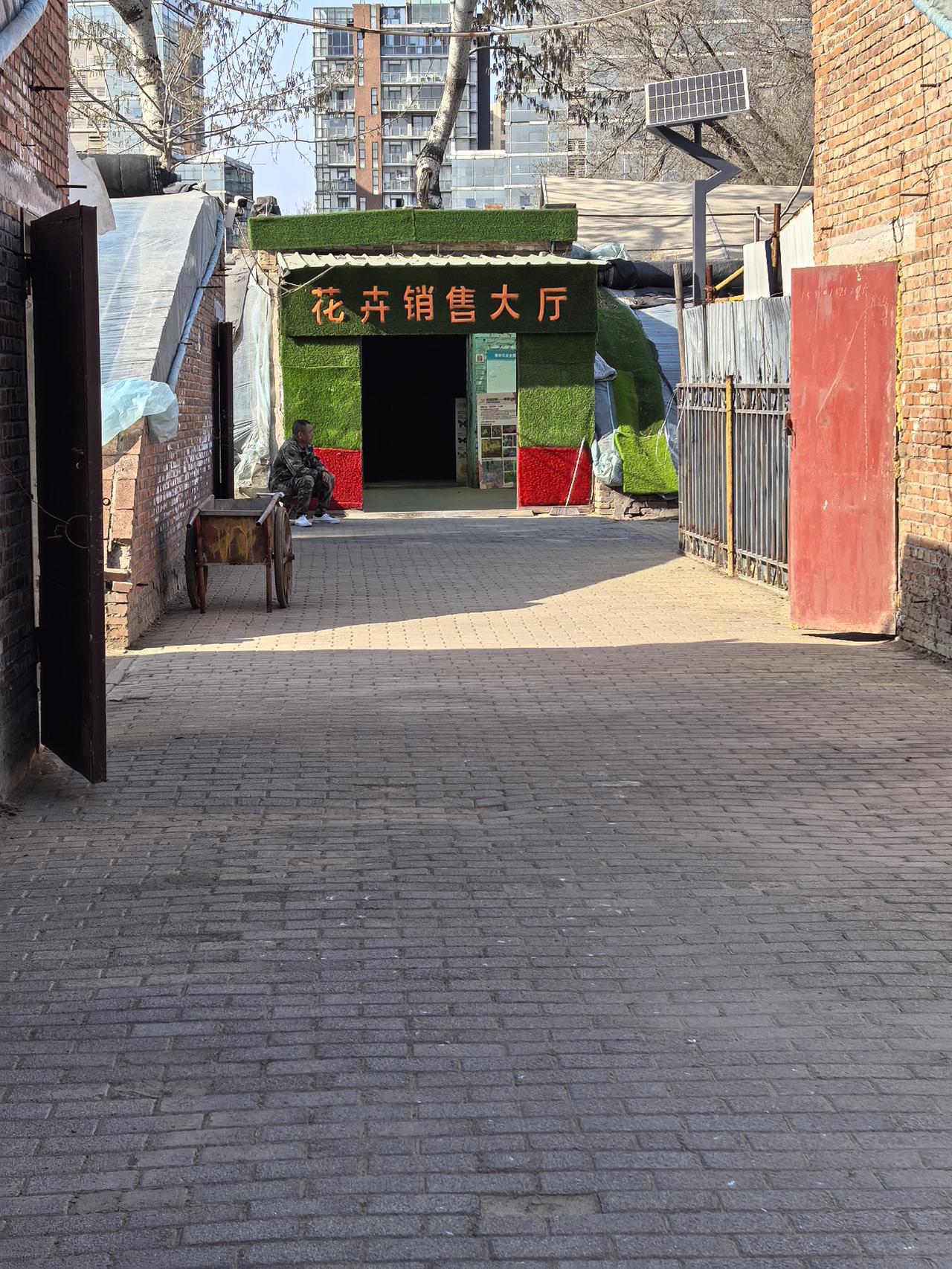 兴隆公园里面有大棚蔬菜采摘