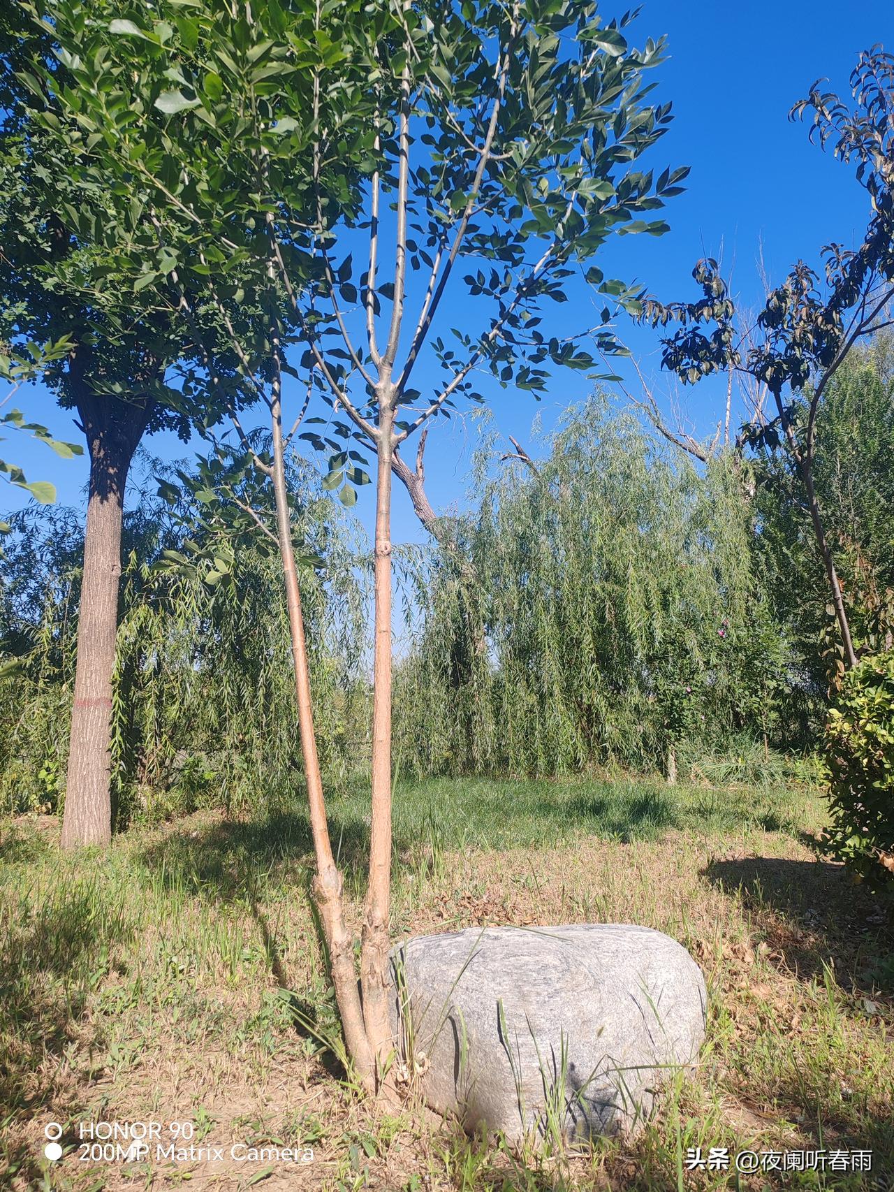 1998年，我在某炮兵团担任排长。
当年10月，按照营里统一安排，我随接兵队伍远