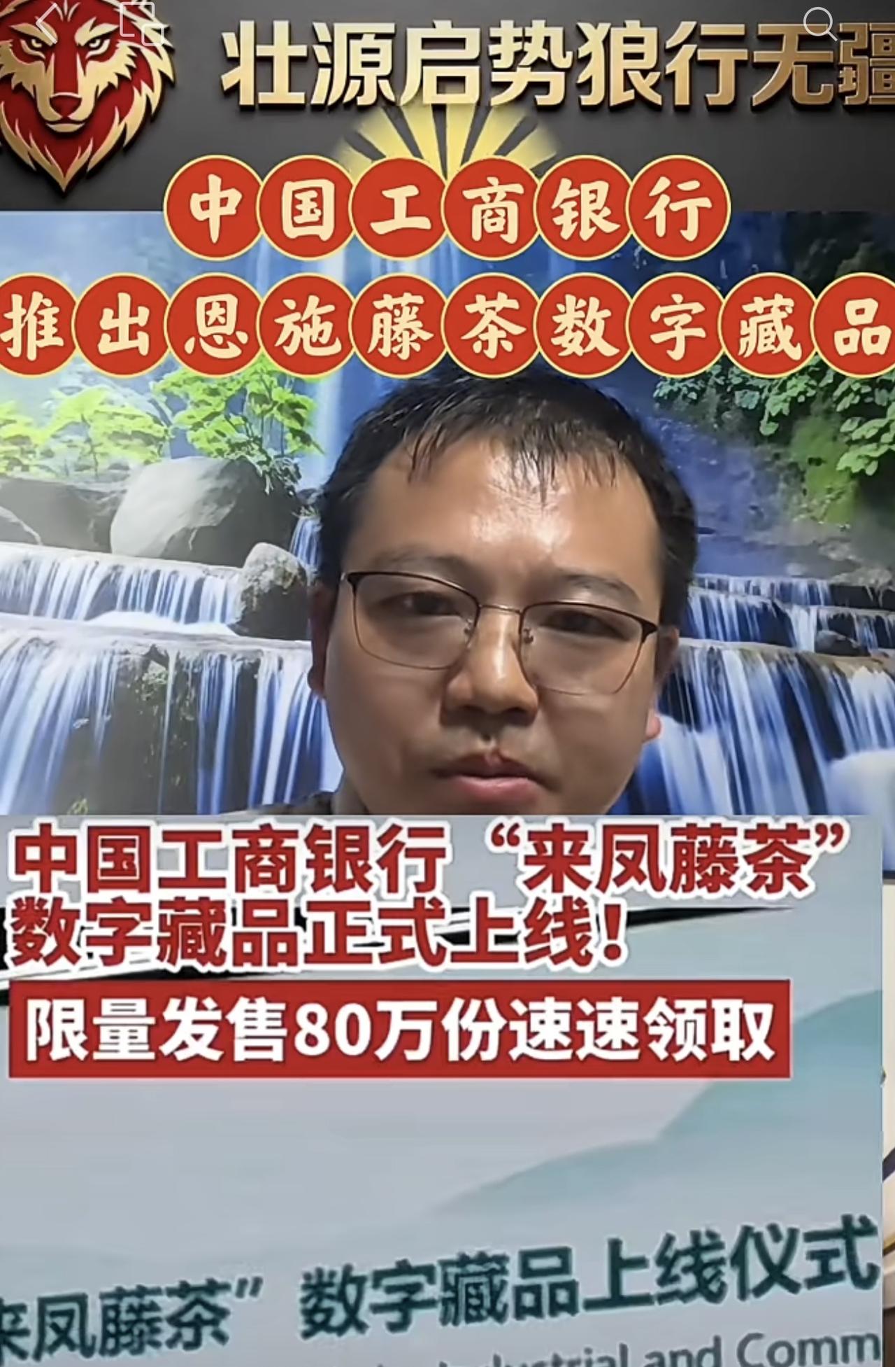 藤茶沉浮：山野本草切勿沦为金融炒作的筹码
藤茶，学名显齿蛇葡萄，民间俗称莓茶、土
