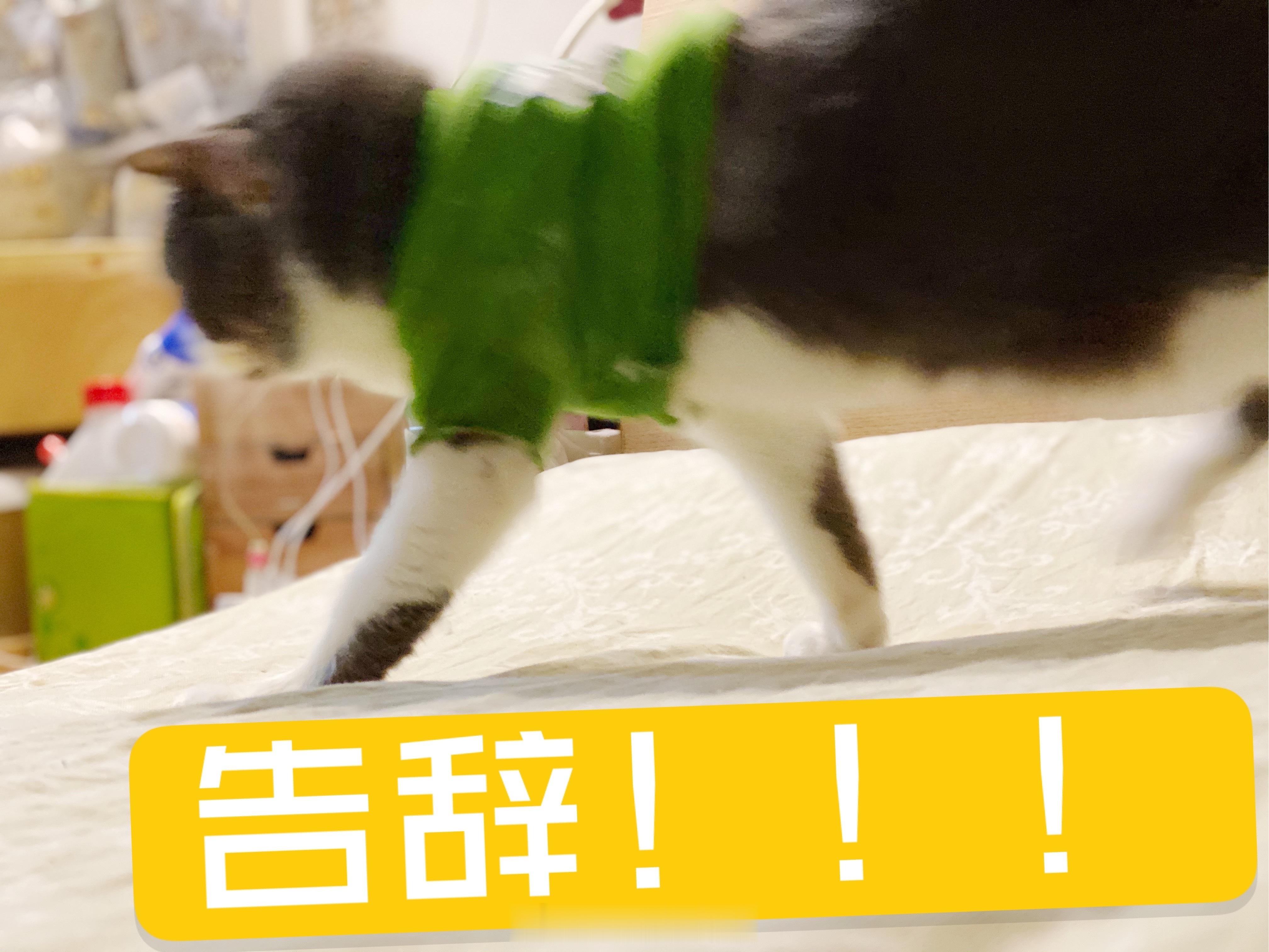 千万不要把手机交给商家写好评诶呦，这让我想起了我的唯一一次这个经历～有一个比较有