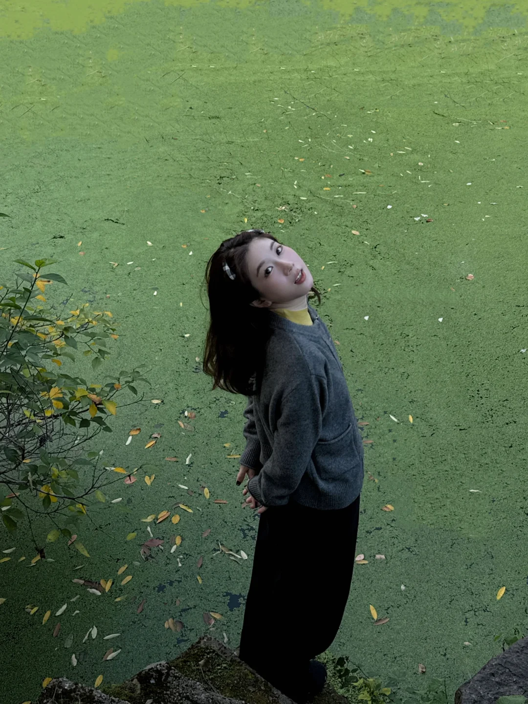 定格下这场绿意盎然🍃