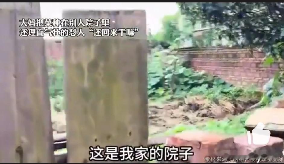 用别人的院子来种自己的菜，种了一段时间不说，别人回来后让其腾院子，反怒怼别人“出
