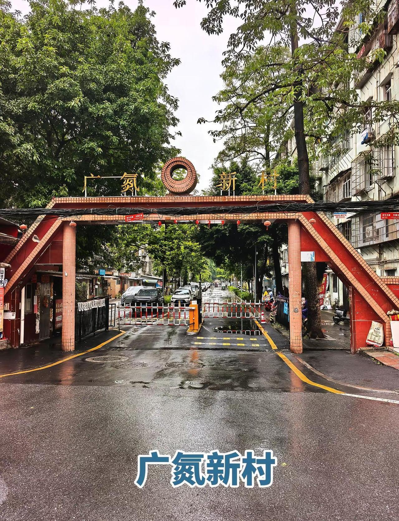 广州旅行，广氮新村。东圃容积率最低的小区，计划经济时代大型企业的社区，有幼儿园小