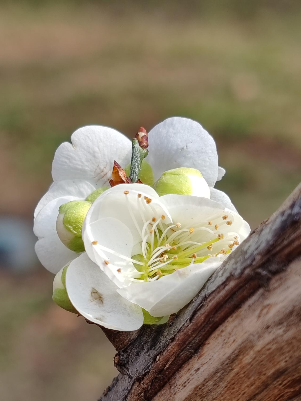 上联：岁月磨平年少志
下联: 白发废除英雄心