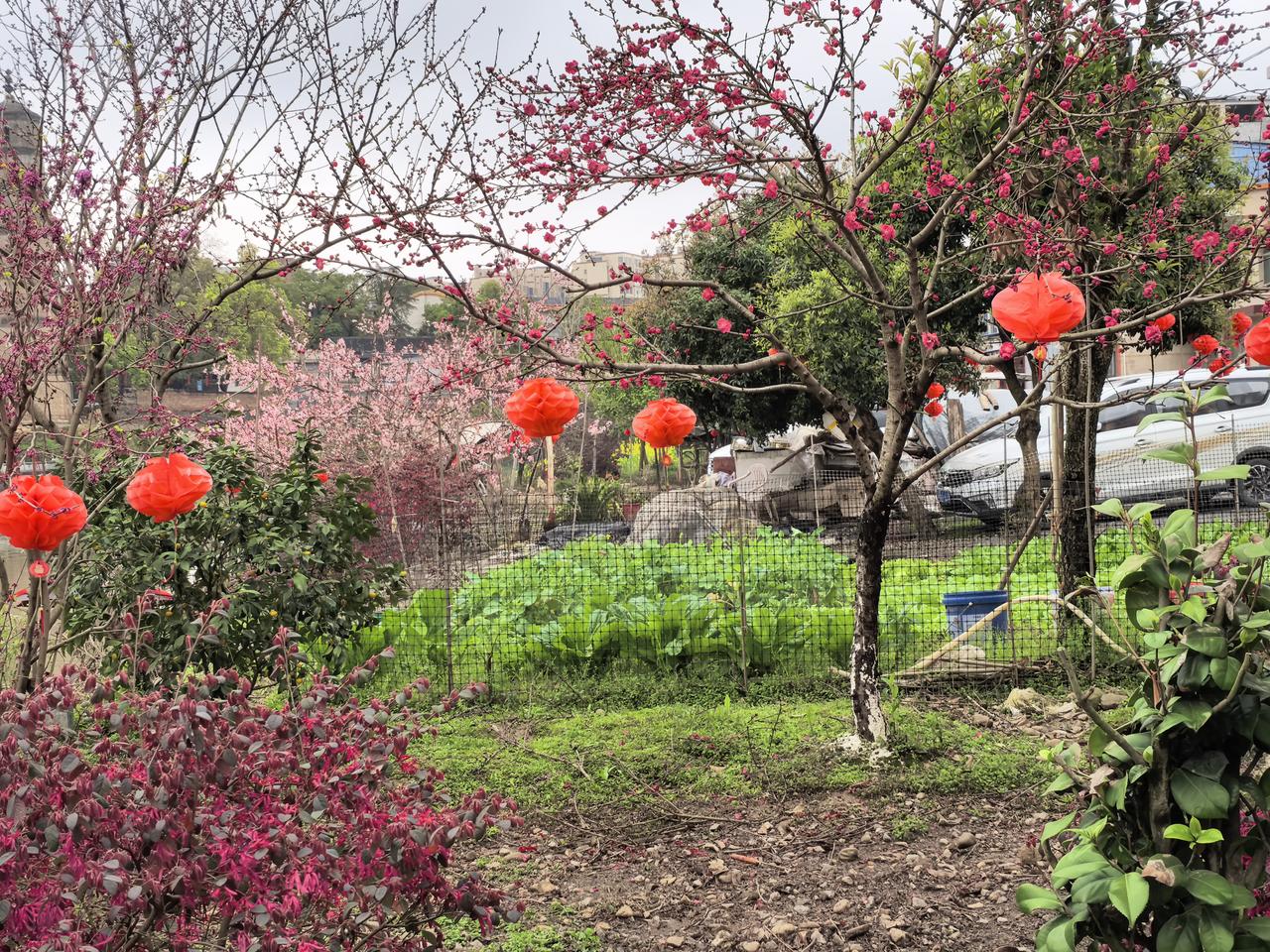 花影横斜，红妆点点，这是属于春日的独家浪漫。