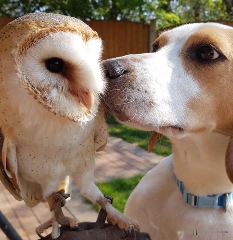 亲情和友情哪个更重要，这就像问左手和右手哪个更有用，很难抉择。
亲情就像空气，时