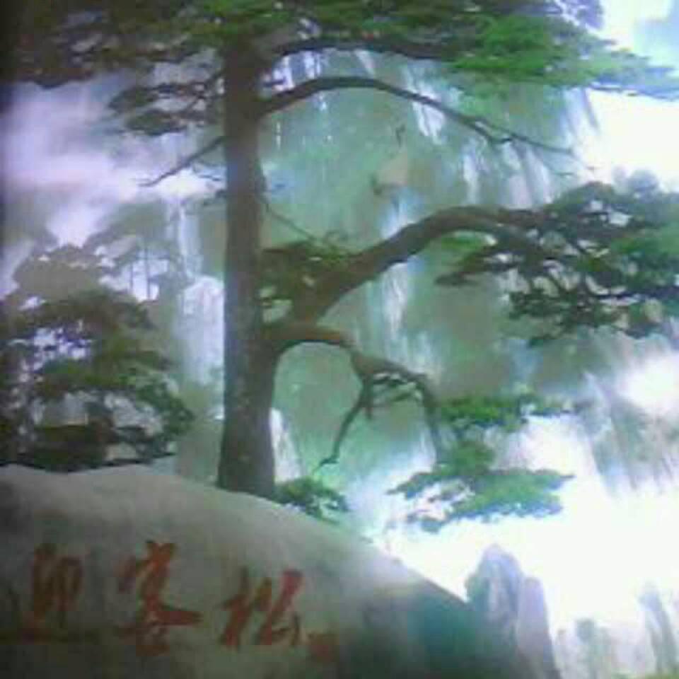 为什么北方人冬赴南方避寒，南方人少北上避暑？
 
每到寒冬，大批东北、华北老人南