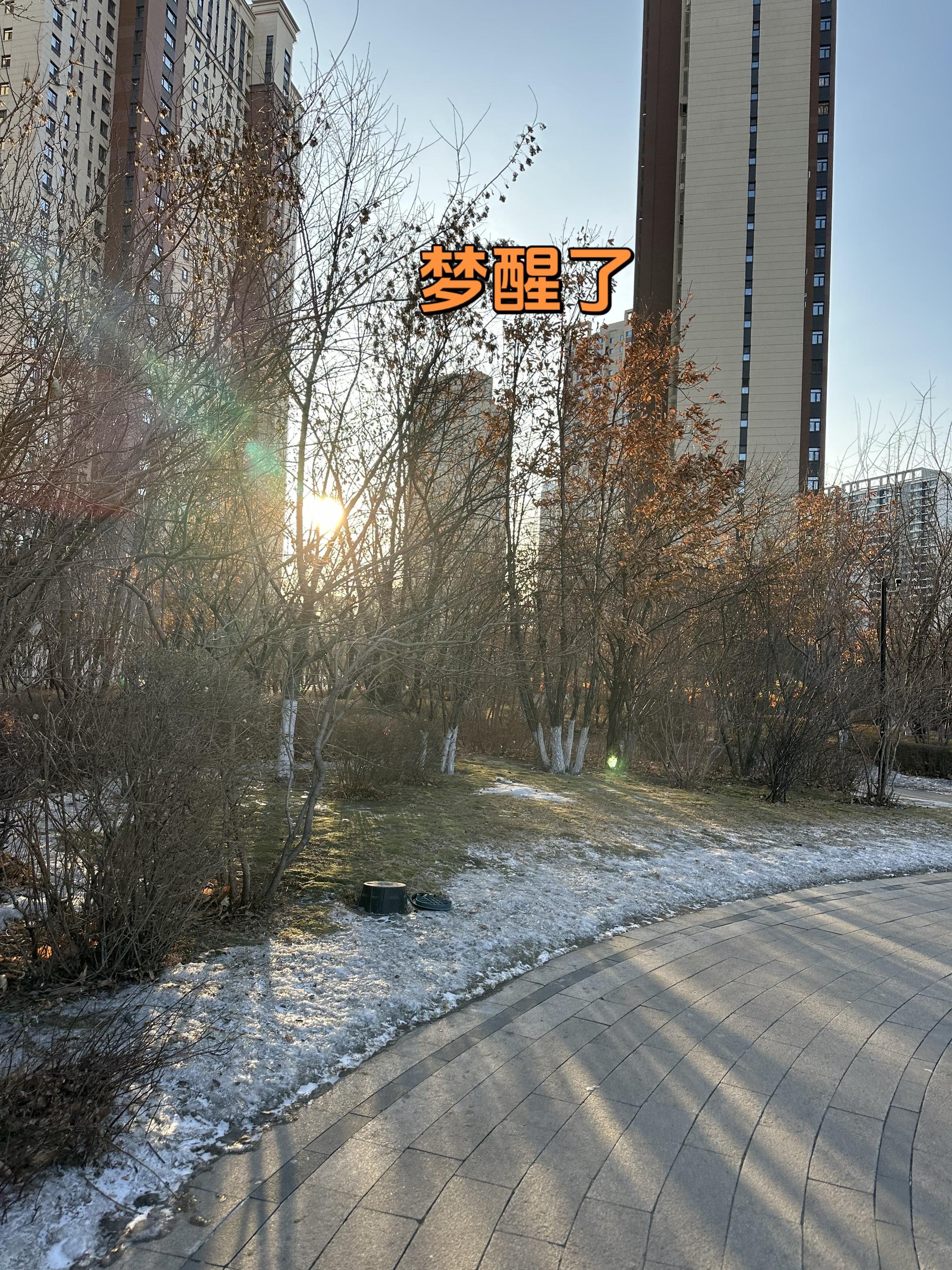 过年这场梦是时候醒了 我去赚浙江的钱给东北花！东北等我回来