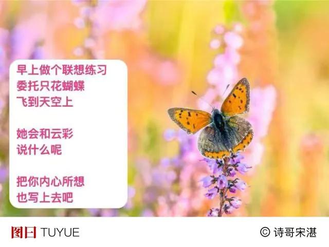 人世多暖处，
我心有春风。
看花闹市里，
欢喜听鸟声。