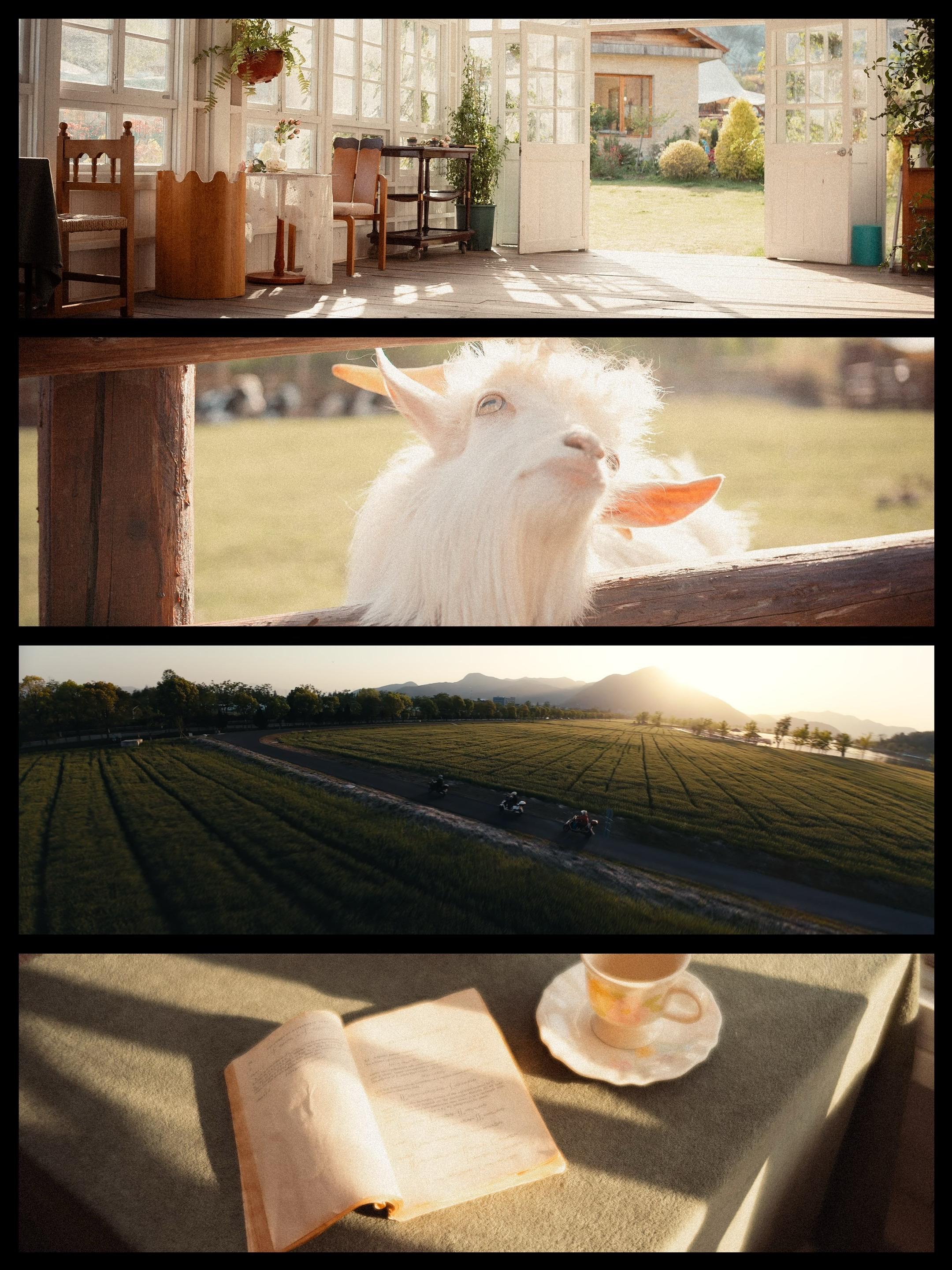 还是喜欢横斑的构图。