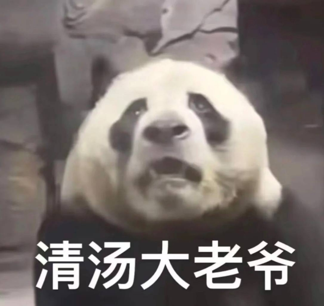 灵岩啊，你绝对是熊猫圈的实力派[允悲] 