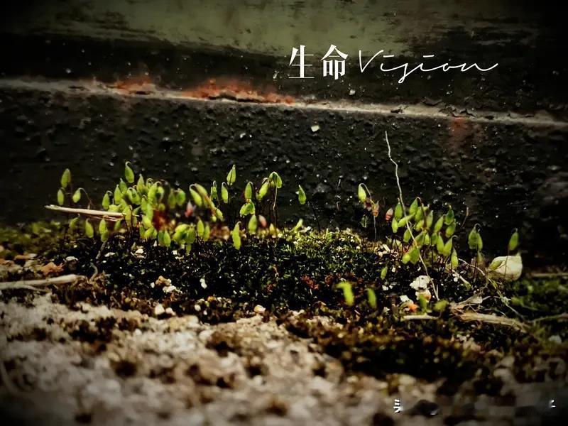 人的自私自利是天生还是后天学的，这事儿还挺值得琢磨。我以前觉得人的习性大多是后天