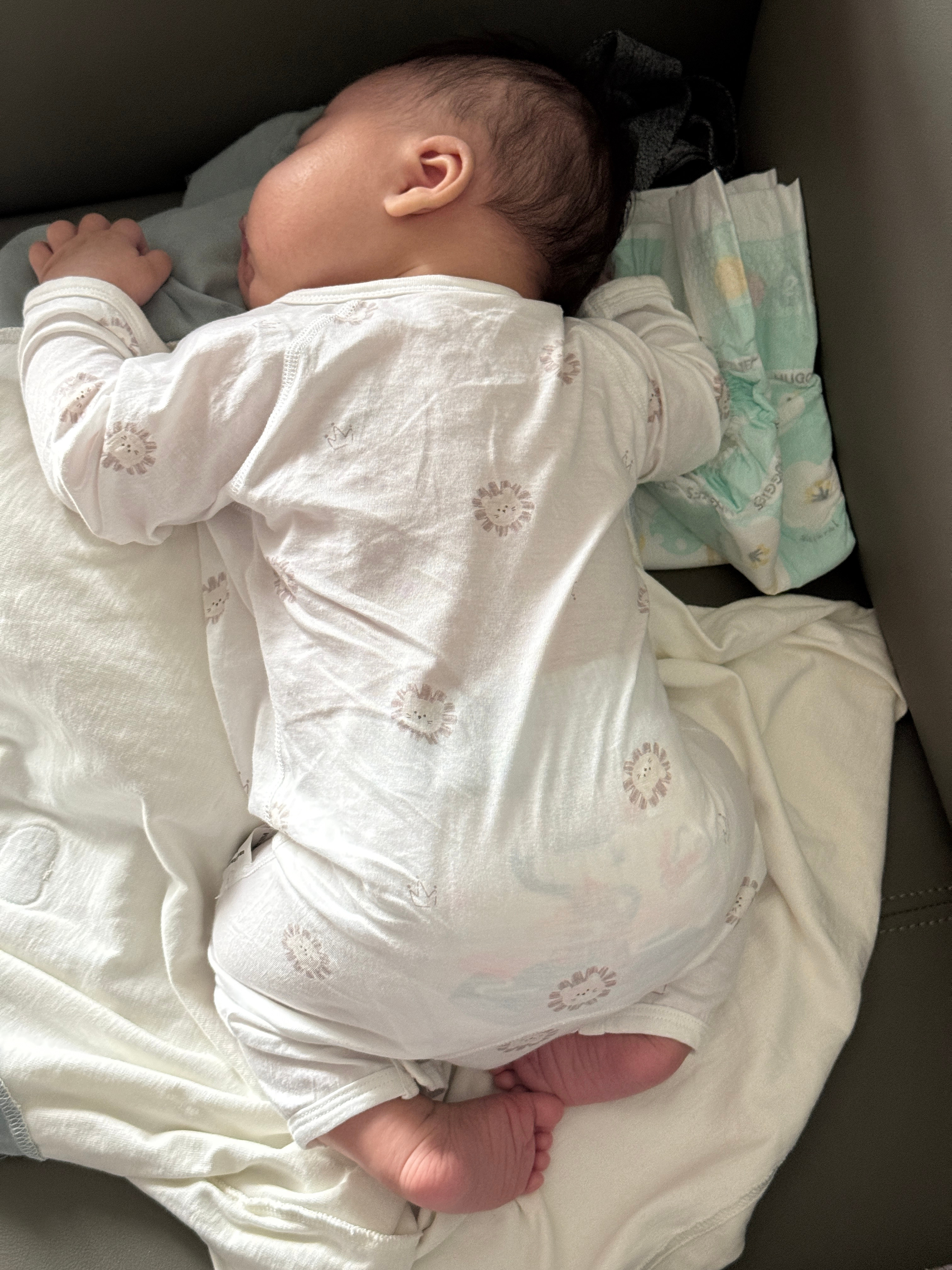 小兔崽子趴着睡是真香一次可以睡四小时了