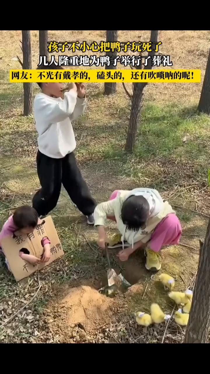 孩子不小心把鸭子玩死了，几人隆重地为鸭子举行了葬礼。
网友：不光有戴孝的、磕头的