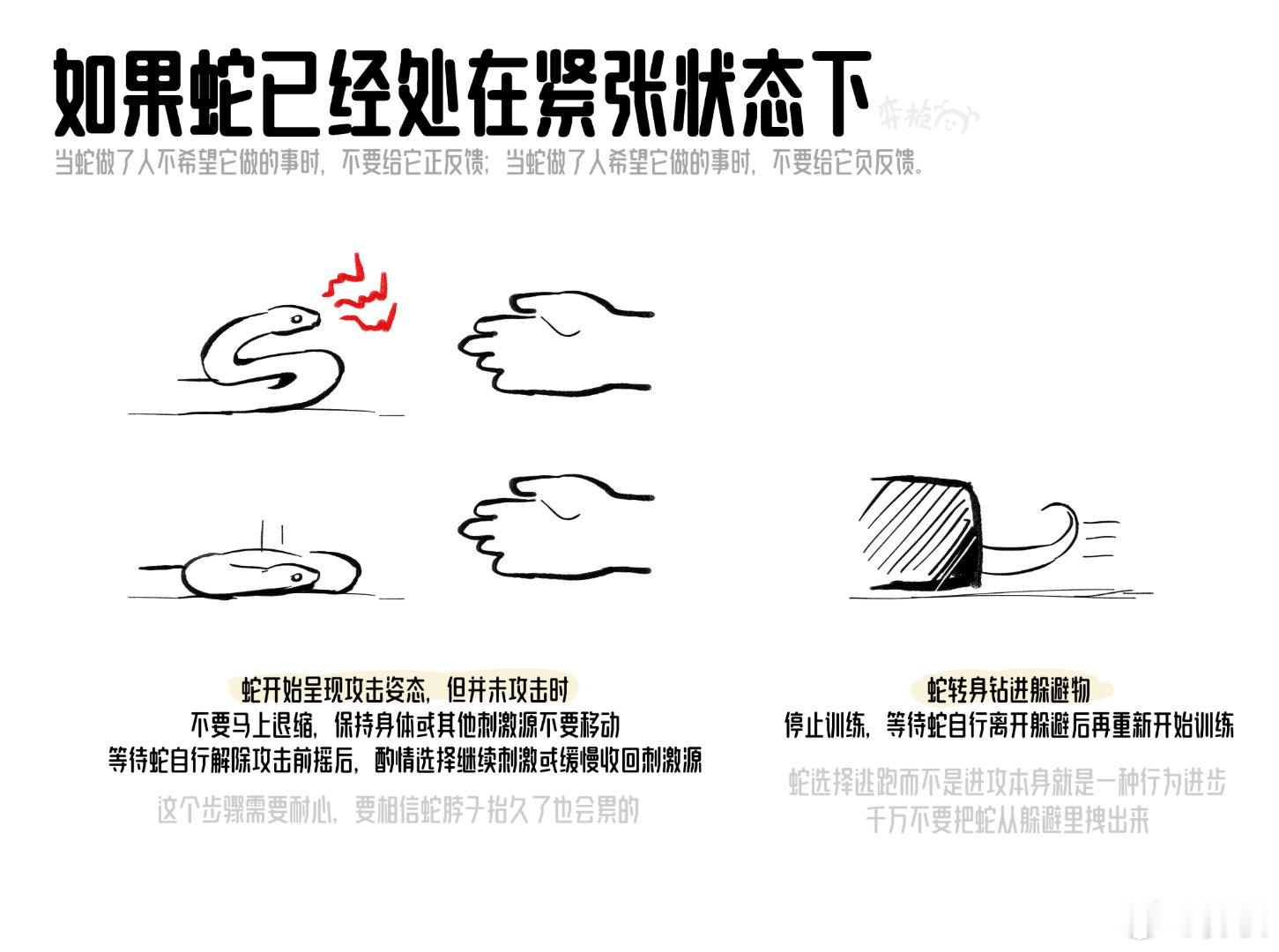 【减少凶蛇攻击性的方式】本篇是我基于自己家牛蛇饲养总结出的经验，图示的脱敏训练对