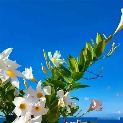 为何日本倾尽国力豪赌固态电池？它会是新能源车的下个战场吗？

2024年日本经济