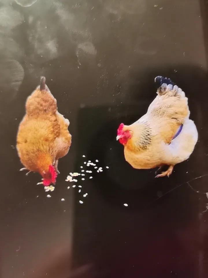 何小鹏，魏建军说自己是什么都没关系，向谁学，给谁跪，也是你们的自由，但不要带中国