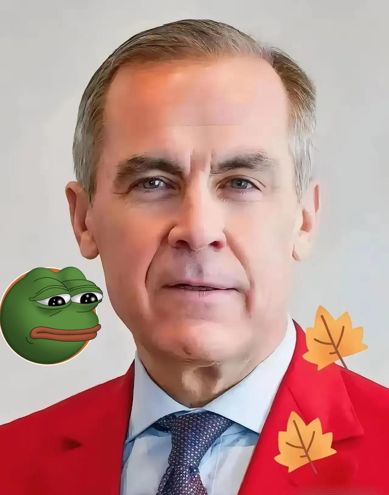 今天刷到新闻，加拿大突然改口了，说要以6.1%的关税进口4.9万辆中国电动汽车。