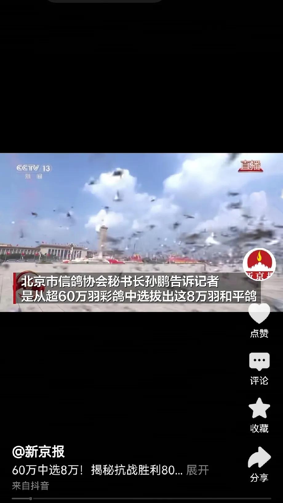 今天阅兵的时候，有个仪式，是放飞8万羽和平鸽，表达礼赞和平的寓意。

挺好奇哪个