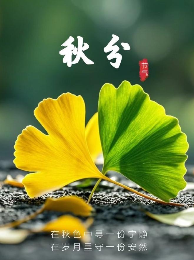 今天是秋分

今天秋分，忽然想起老爸的老规矩 —— 每年这一天，他准会攥着几个鸡