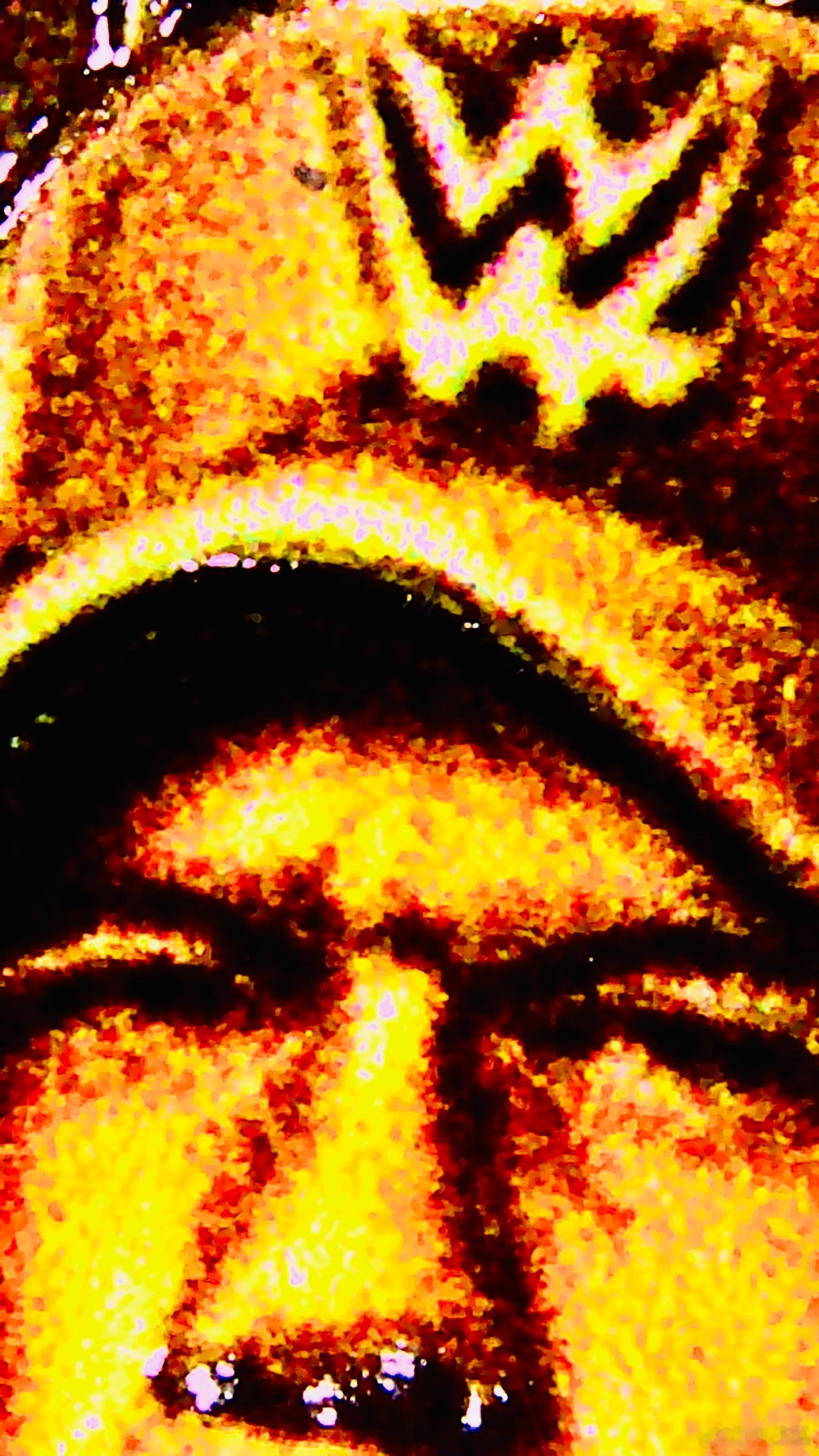 约翰塞纳 JOHN CENA2025摔角退役纪念币到手，这是2025年发售的约翰