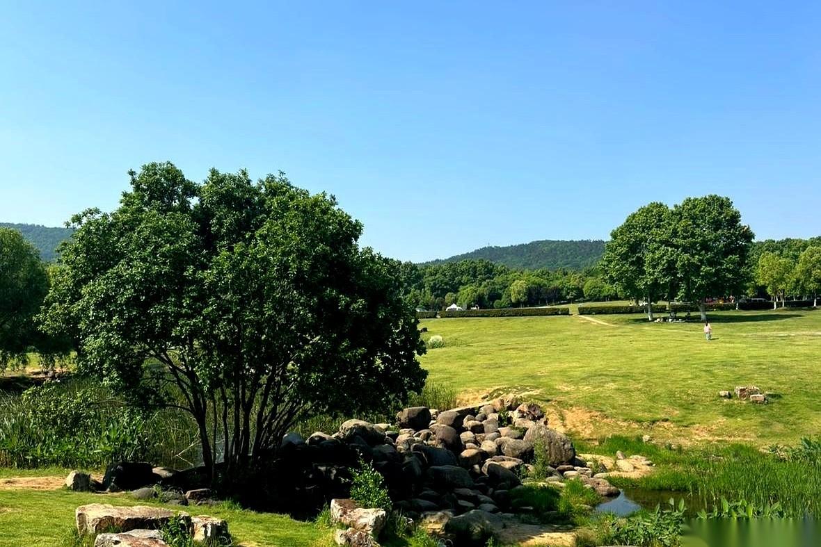 真的，好像有个开关。
“啪”一下，过了55岁，女人身体里那个叫“消费欲”的小马达