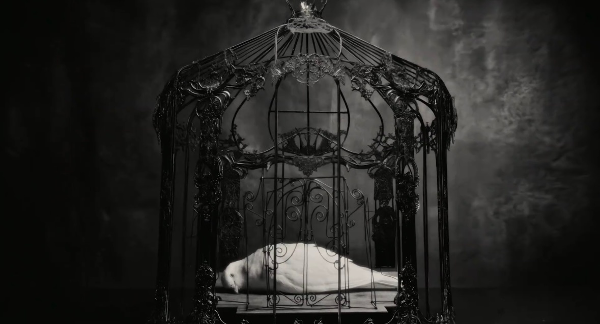 笼中之鸟的宿命从来不是飞翔，是被豢养、被规训… 他亲手断翼，是彻底撕碎“笼中鸟”