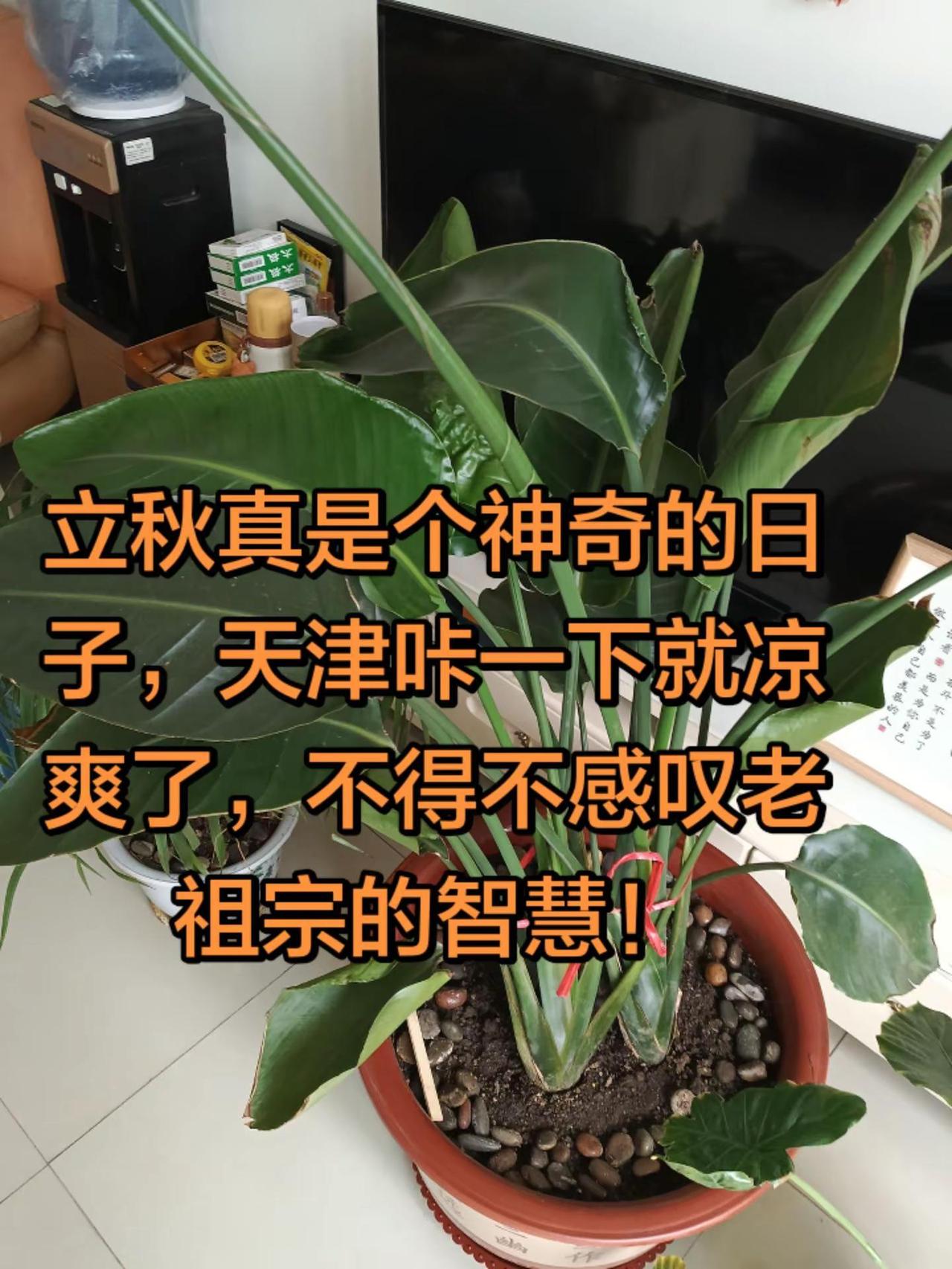 吃喝玩乐分享计划