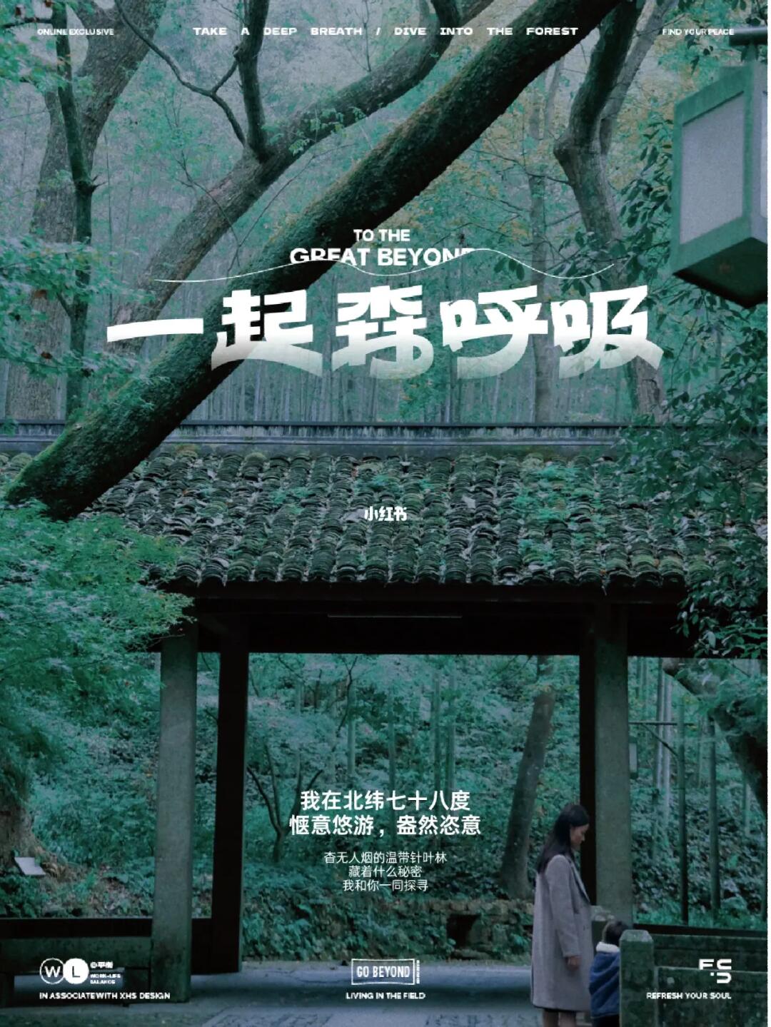 答应我，秋天一定要来1次西湖边的云栖竹径