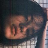 椰子爱说国际