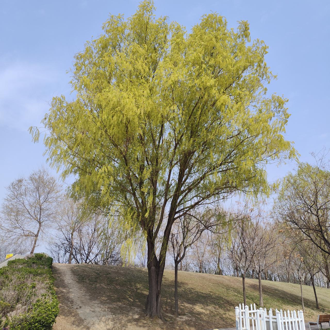 希望内心归于平静，一切从头开始。