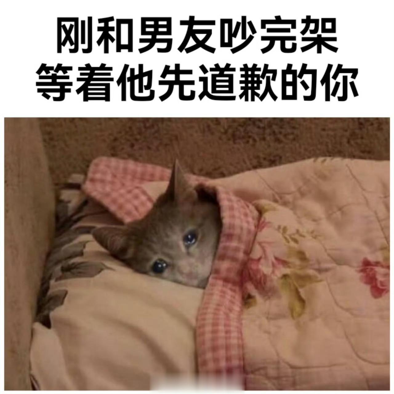 #meme##me_irl# ​​​