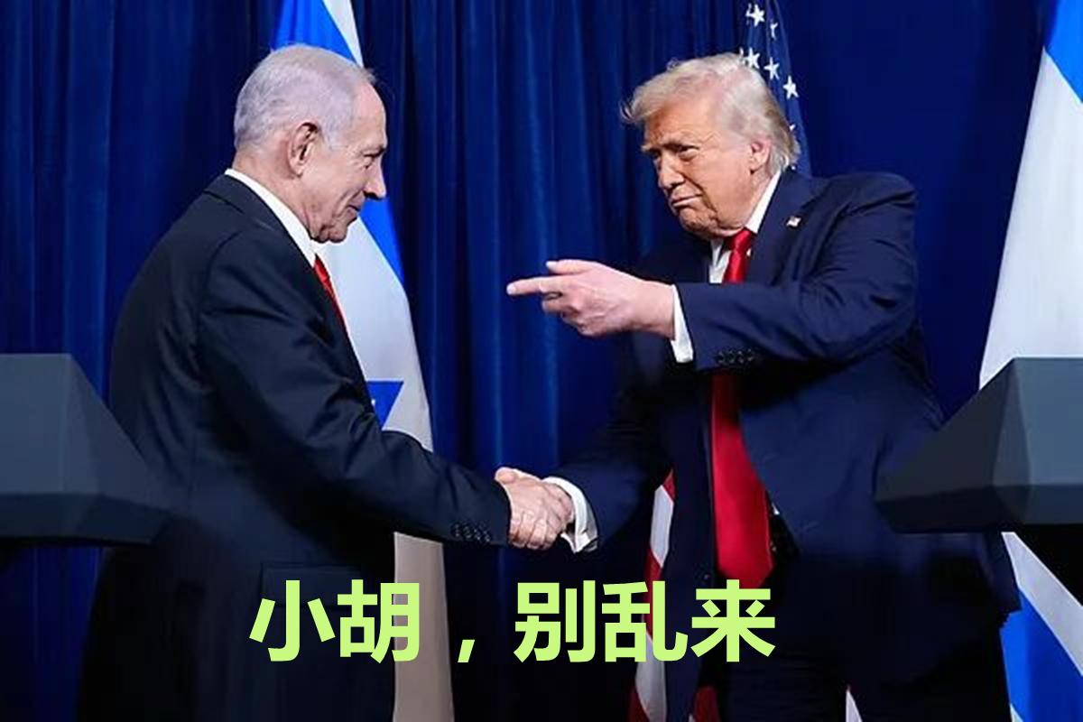 特朗普想让内塔尼亚胡下台？其后台利库德集团慌了

特朗普可能有点恨以色列总理拖他