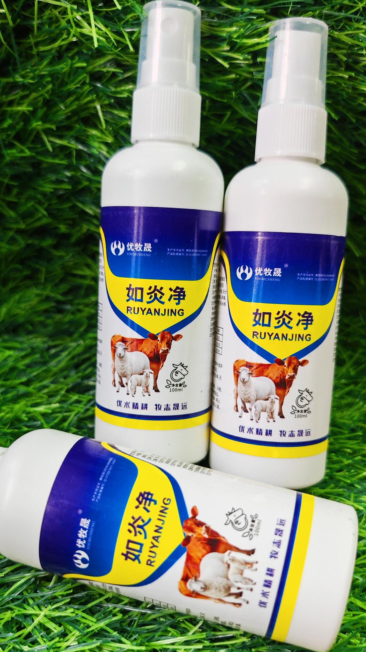 养羊农村养羊 牛羊养殖