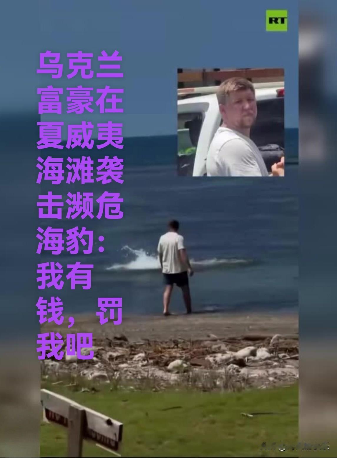 乌克兰富豪在夏威夷海滩袭击濒危海豹：我有钱，罚我吧

   据外媒报道在夏威夷的