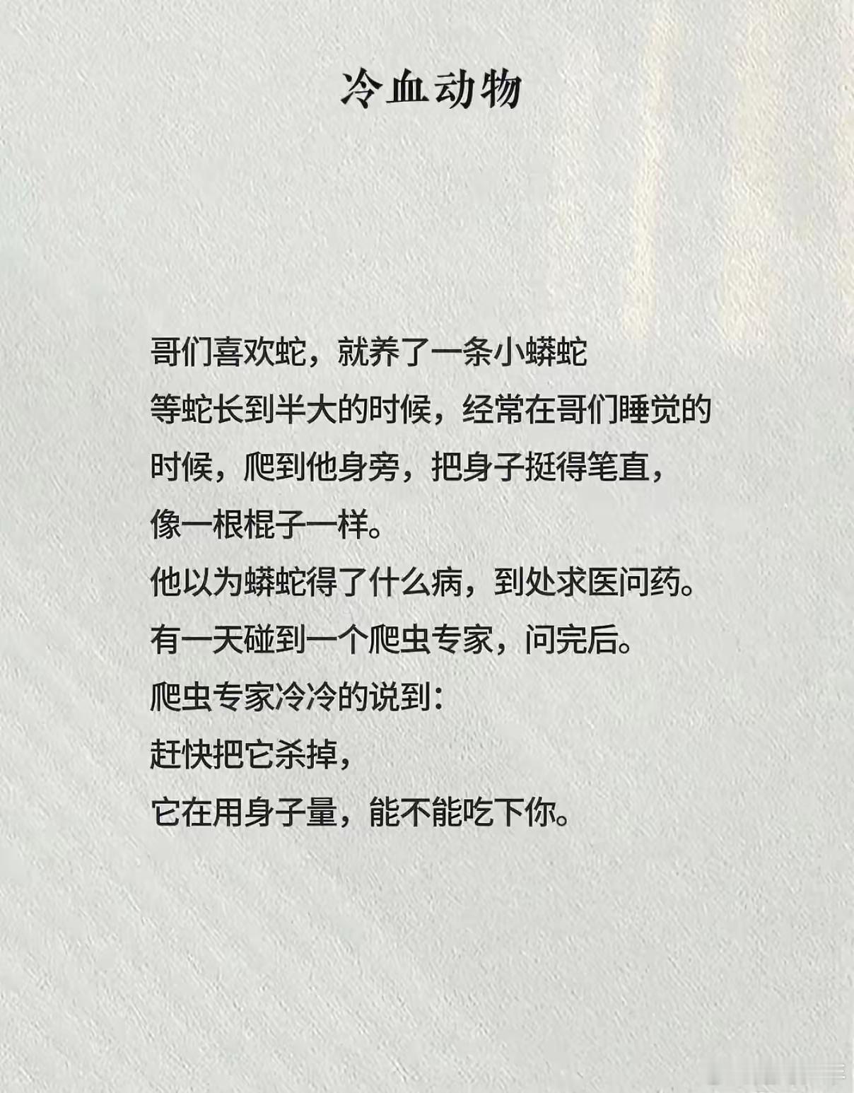一个关于冷血动物的故事 