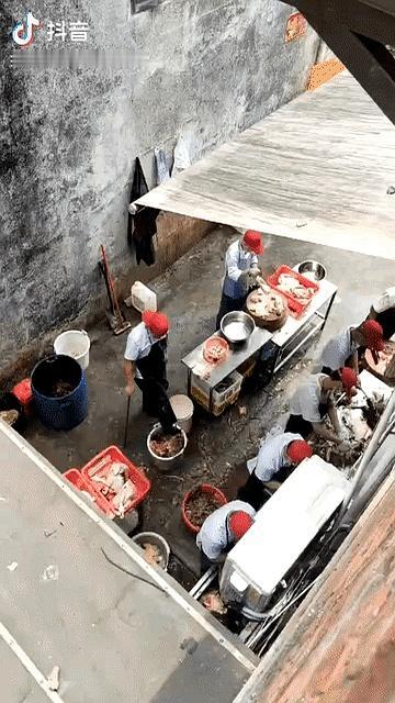 一段后厨视频，把不少人看懵了：烫鸡的桶边，一个男子没用手按住鸡，居然直接上脚踩了