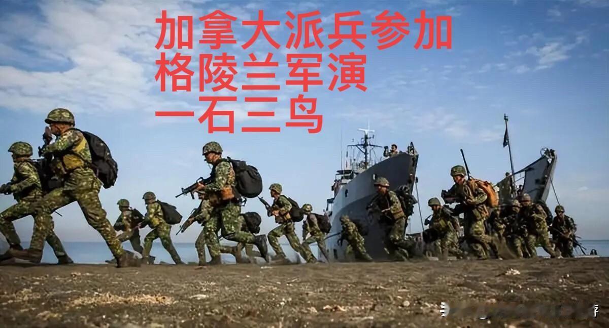 关税大棒下的逆袭：欧洲退缩之际，加拿大军演一石三鸟拿捏美欧

北极圈的寒风中，格