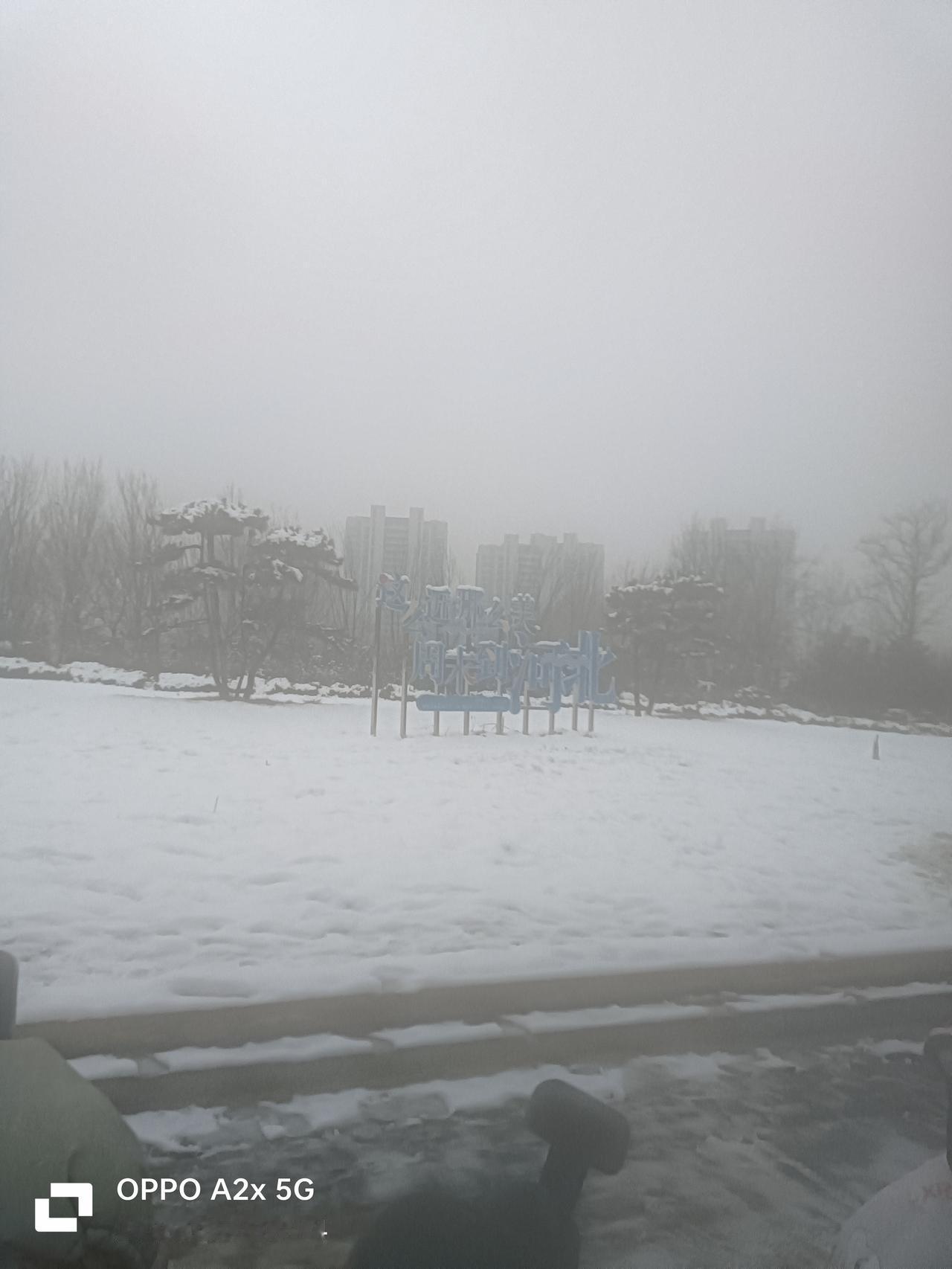 我发现我自己有预测天气的绝活。比天气预报还灵，能在半年前预知天气变化。
在202