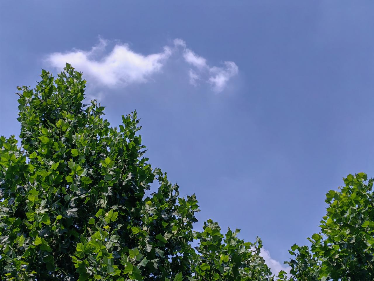 朱温有一次因祭享住在了洛阳，没料到的是，夜里所居寝殿栋梁突然断了，幸亏没有砸死人