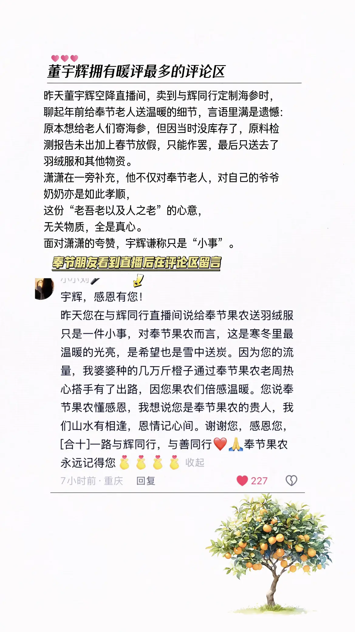 董宇辉拥有暖评最多的评论区 与辉同行 董宇辉