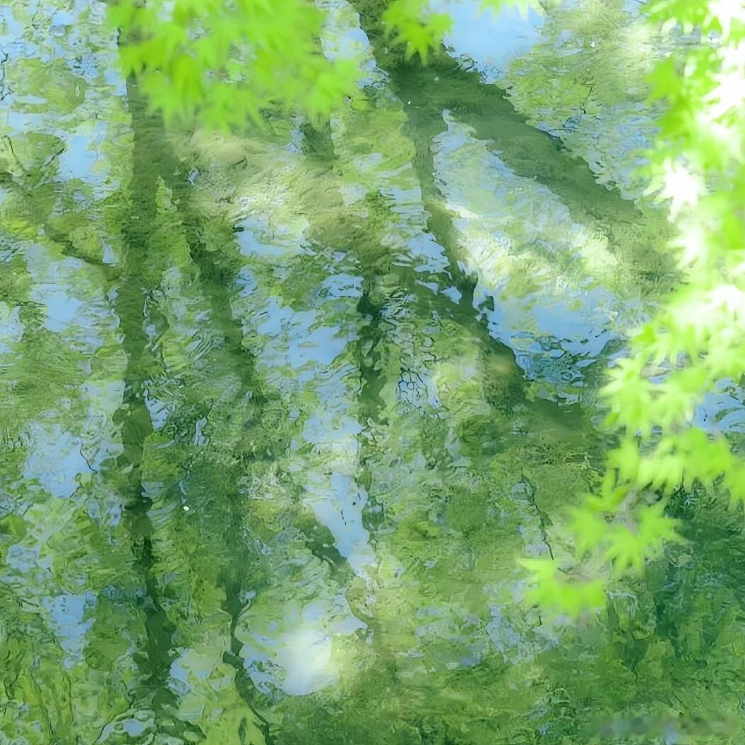 渲染夏天的思緒 ᜊ。⁺⑅just love⑅⁺。栩你渝生 ☆₊⁺栩風聆雨檐角宁 