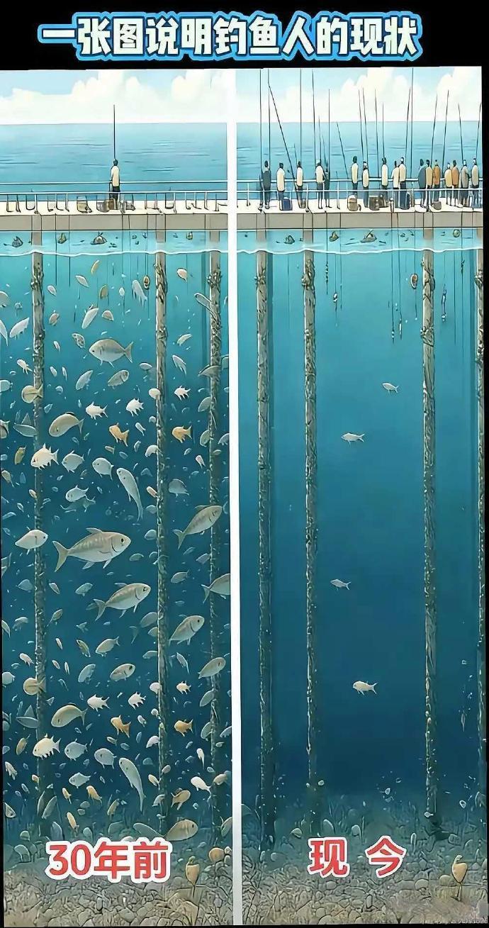 为什么要禁钓？
30年前，一人一竿，鱼比人多；
现在，百人百竿，人比鱼多。
 