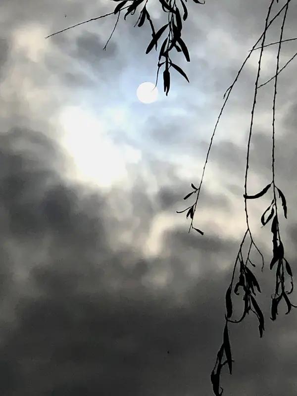 整联
柳钓斜阳云入砚，舟横碧水霞融墨
解析
1. 对仗
柳与舟相对，钓和横相应，