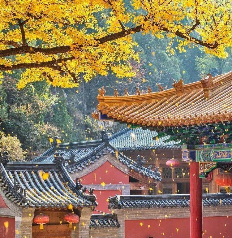 湖南岳阳荣家湾镇名称沿革、归属变迁与名人

一、镇名由来：“荣家湾”的两种权威释