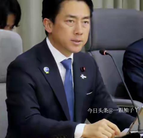 我国对日本出口镓和锗连续两个月为零，而这两种关键原材料正是半导体和无人机制造不可