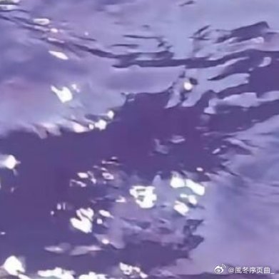 每日一善🔮阳光信用🔮互动打卡善良是一束美丽的玫瑰，当你赠送他人时，也为你自己