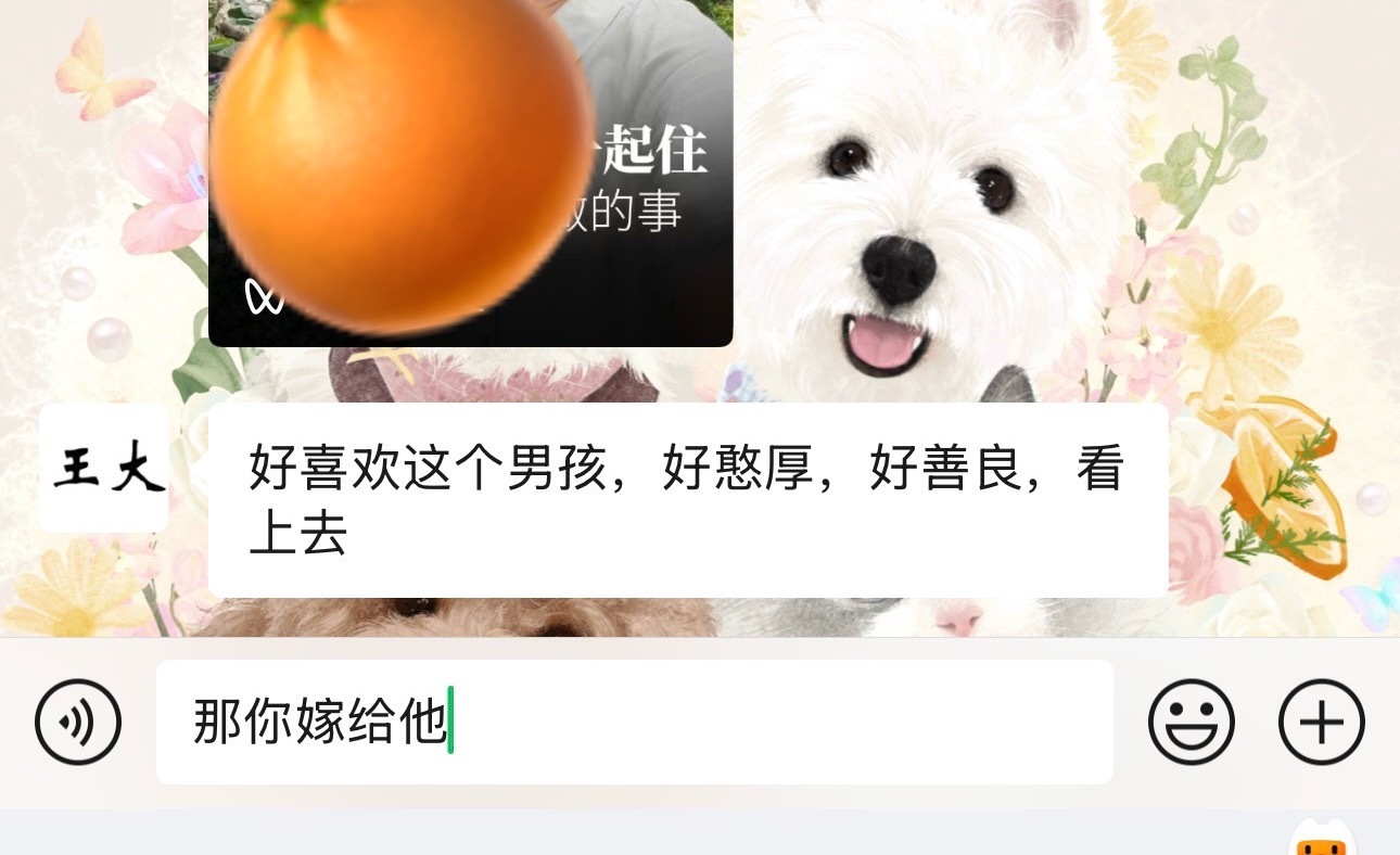 🍊🐟-我妈：滚