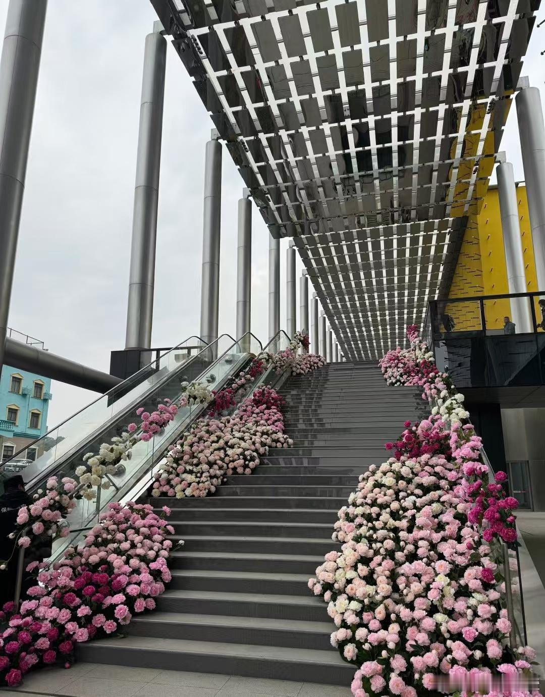 国色芳华  现在在直播杨紫李现的好六上班路，真的是笑不活了！他们两个的互动太有梗